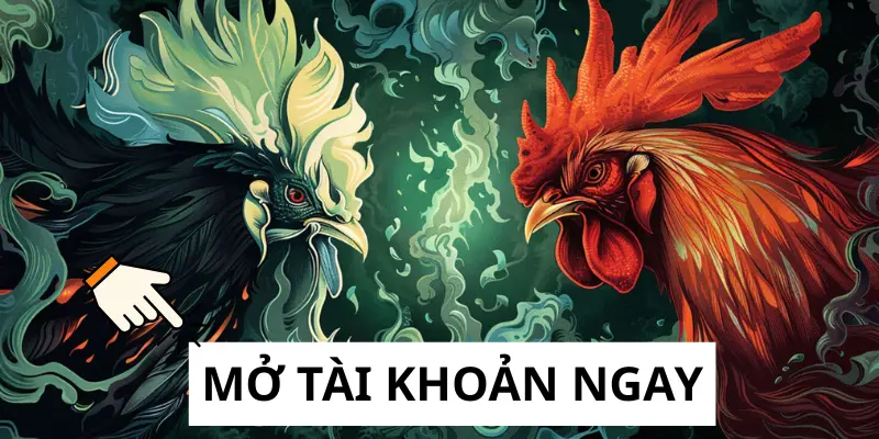 Tạo tài khoản nhanh để trải nghiệm đá gà cựa dao đỉnh cao
